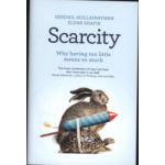 Scarcity: Why Having Too Little Means So Much